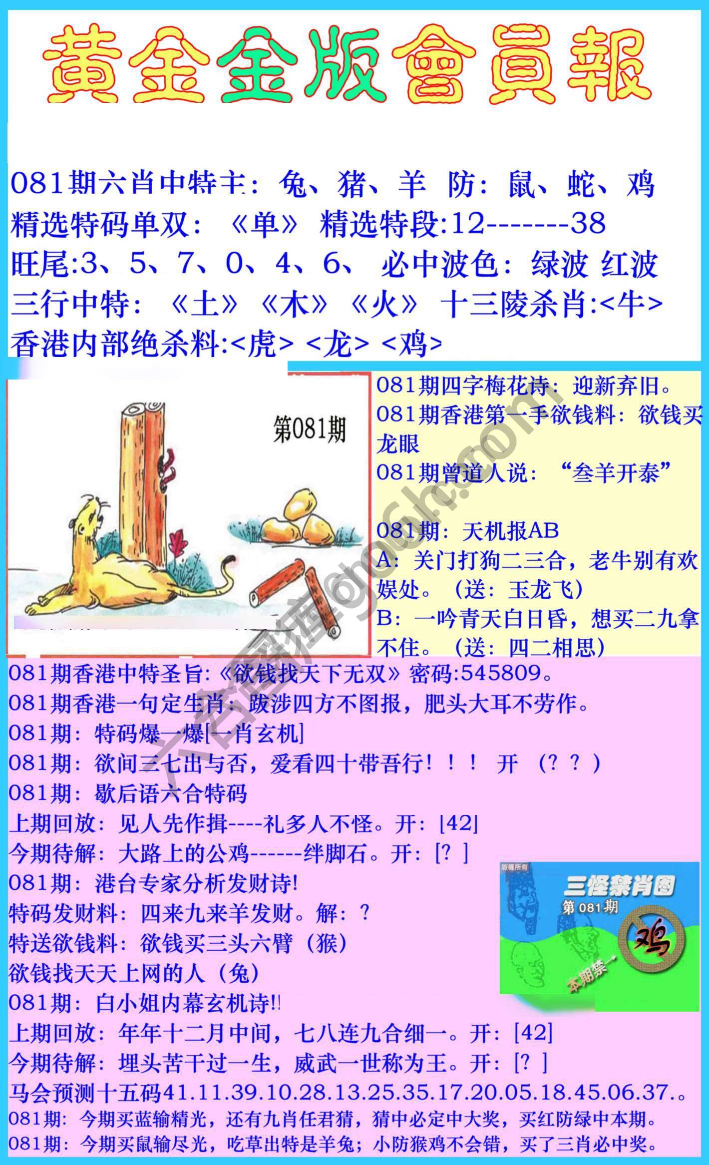 黄金金版会员报
