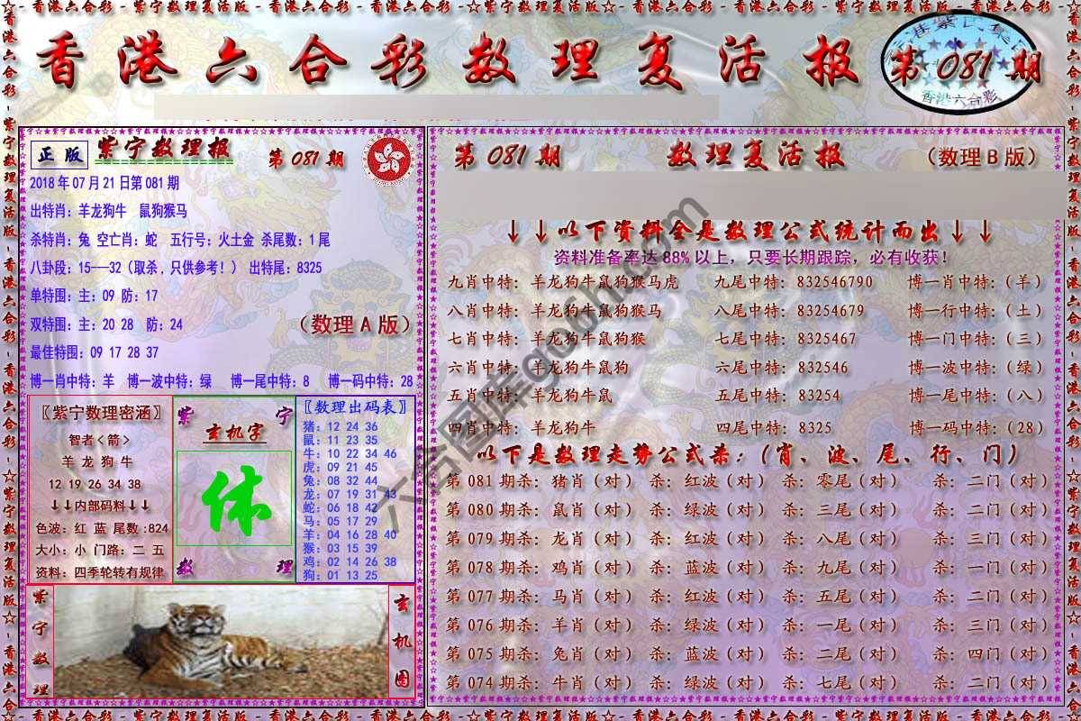 数理复活报