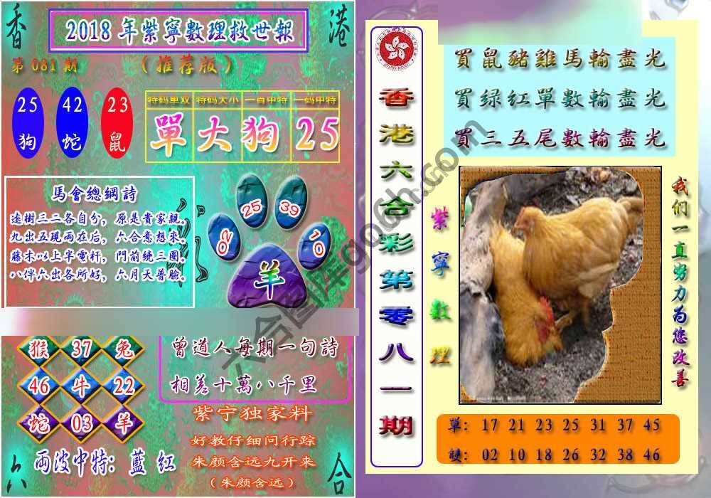 数理救世报