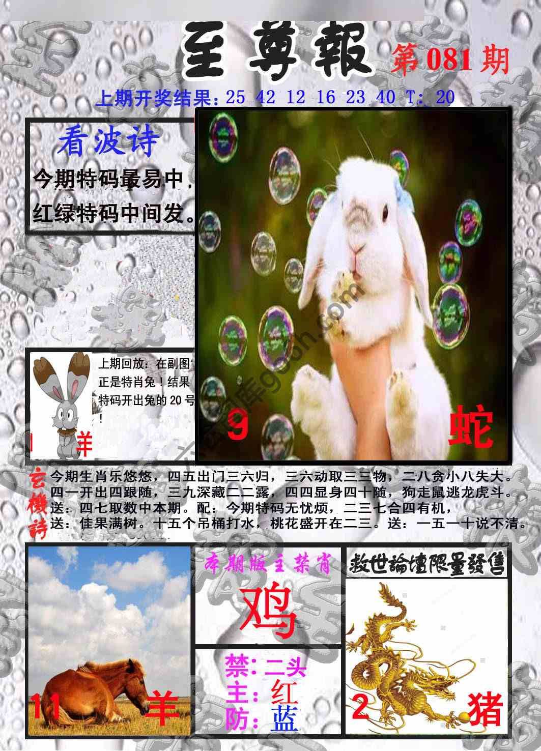 至尊报