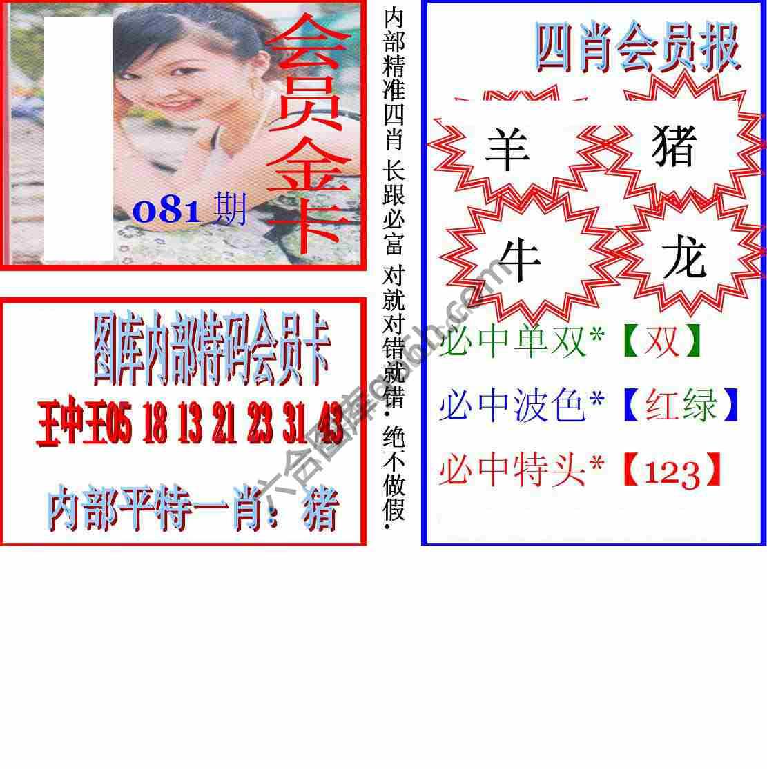 马经四肖会员报