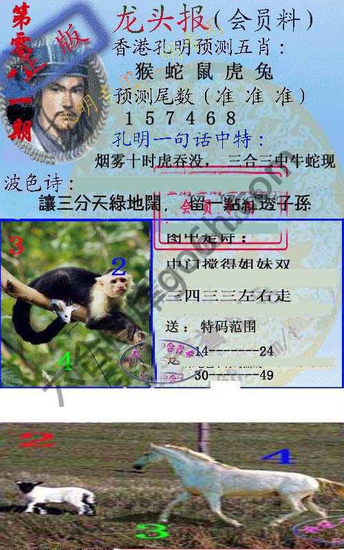 龙头报