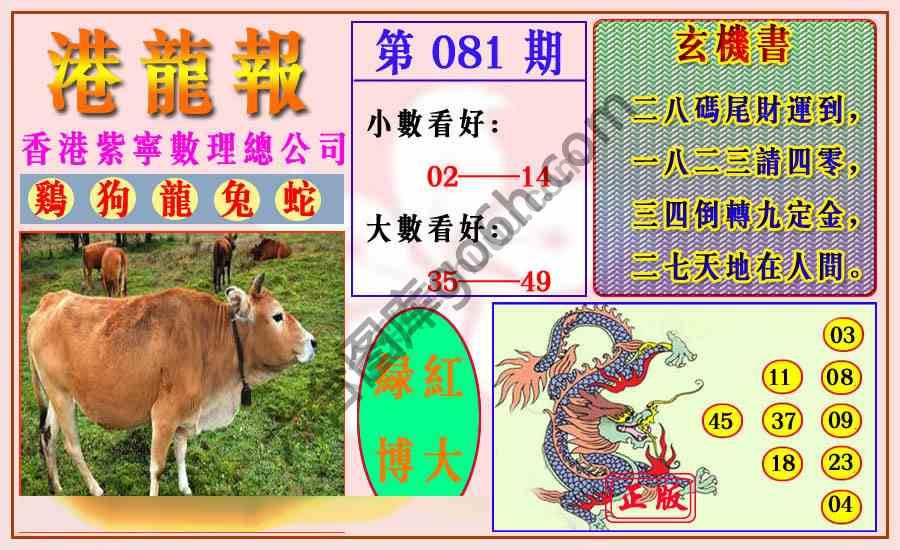 港龙报
