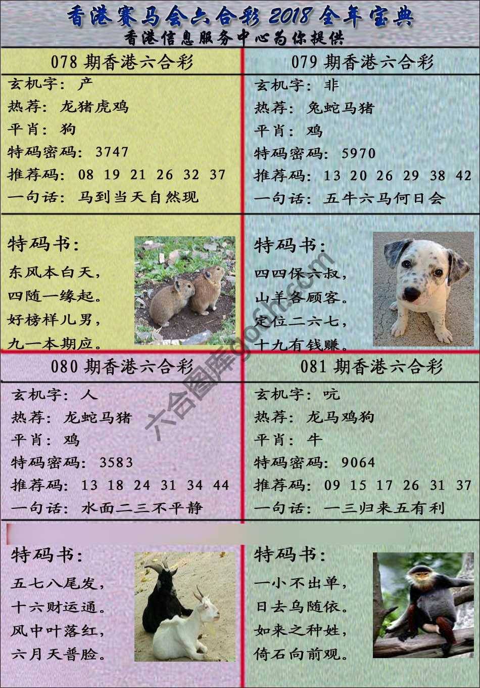 宝典报