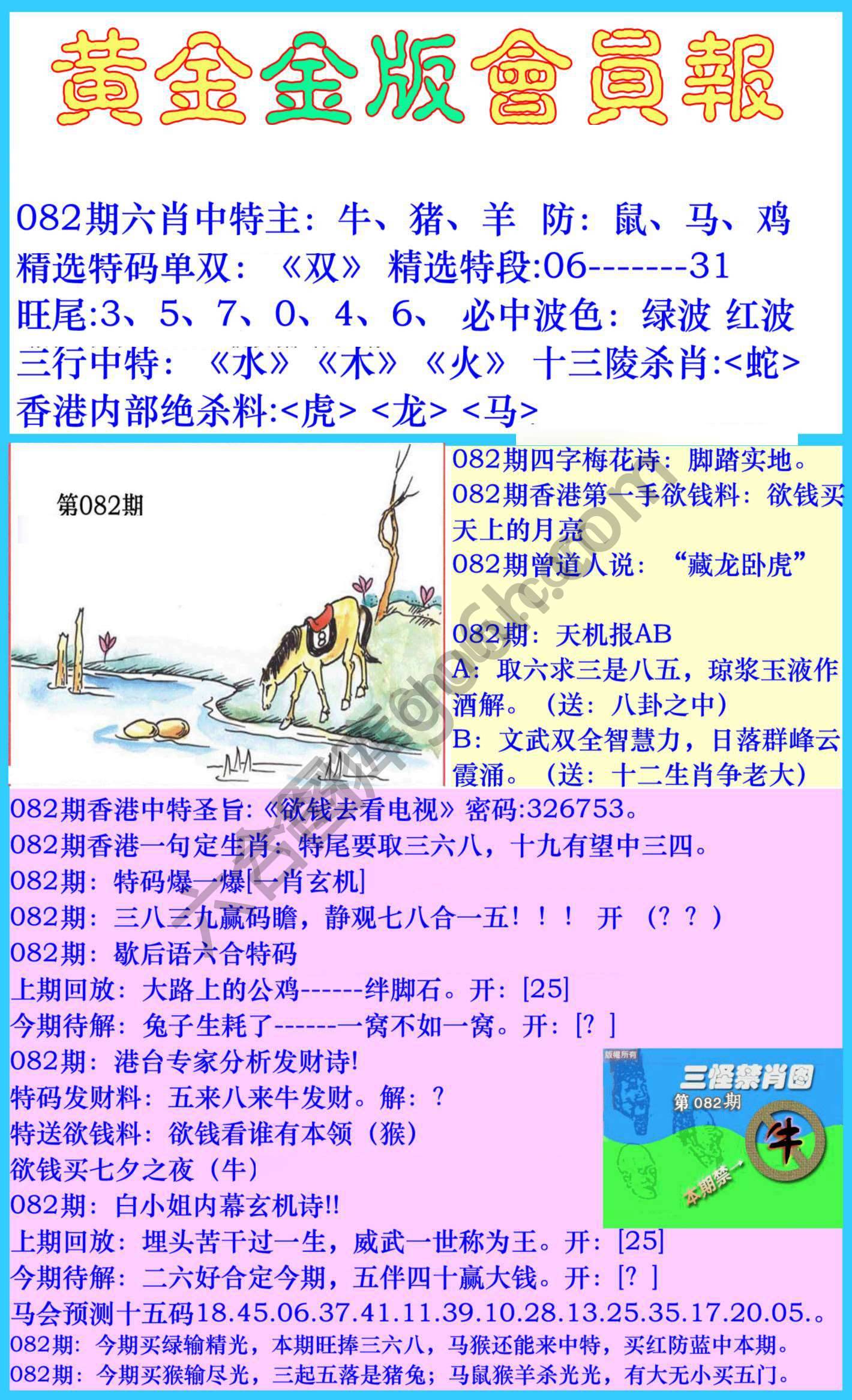 黄金金版会员报