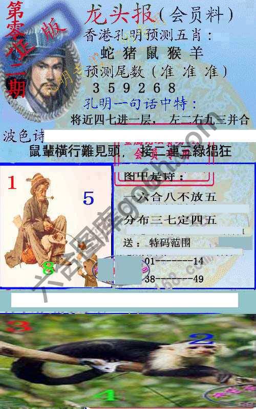 龙头报