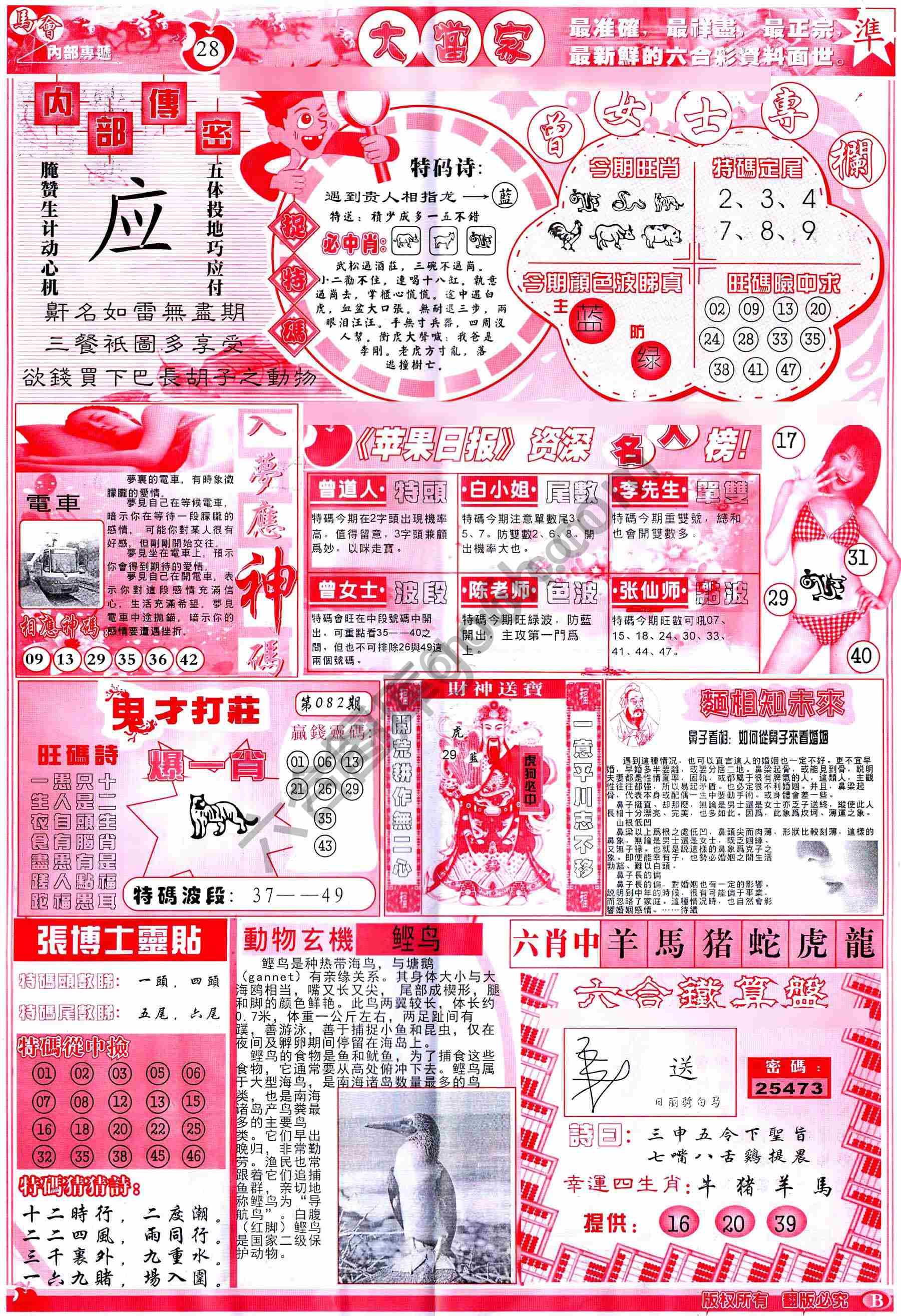 大当家