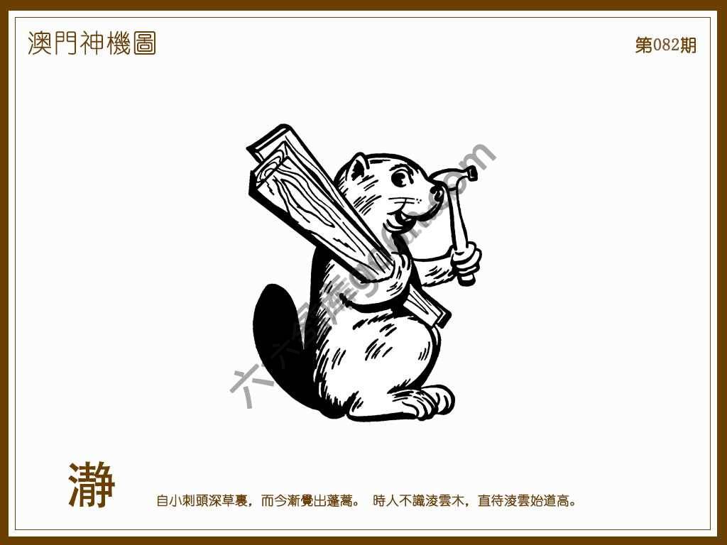 澳门神机图