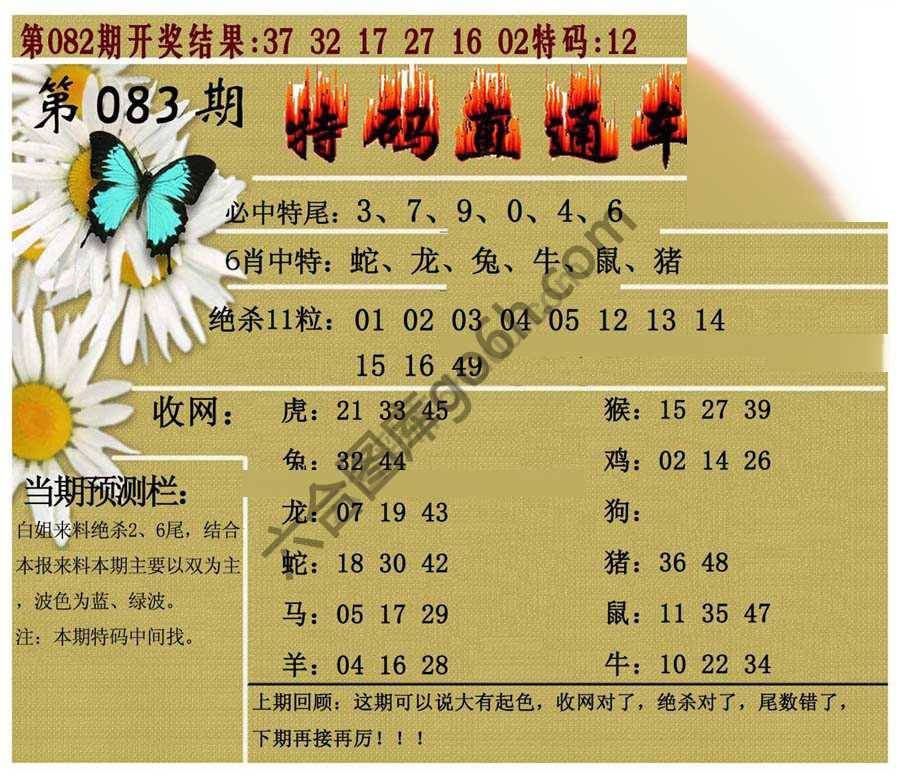 特码直通车