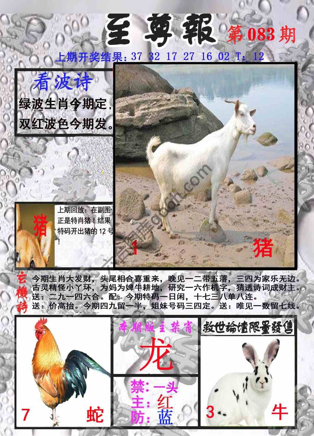至尊报
