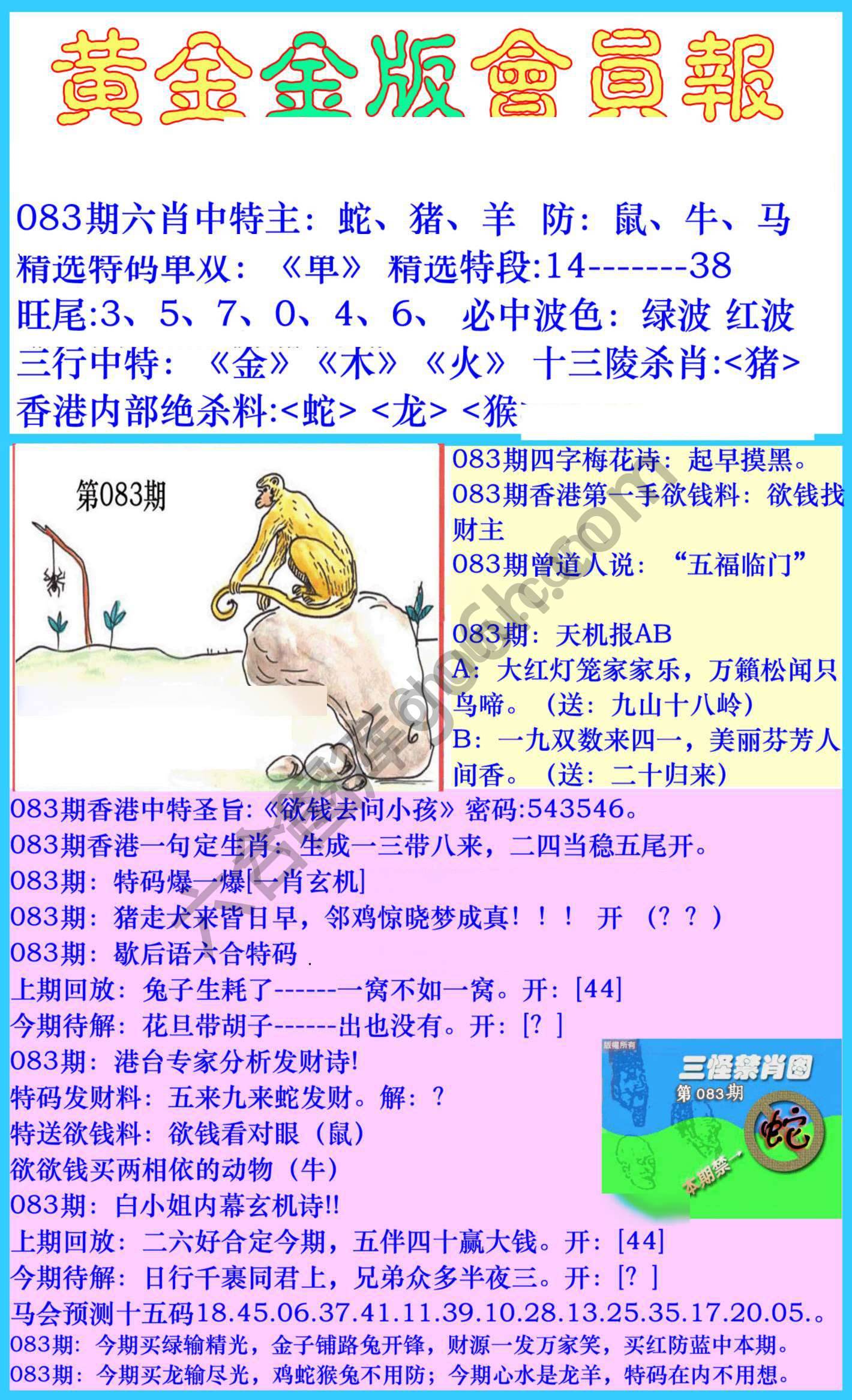黄金金版会员报