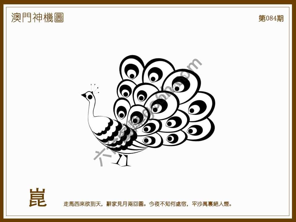 澳门神机图