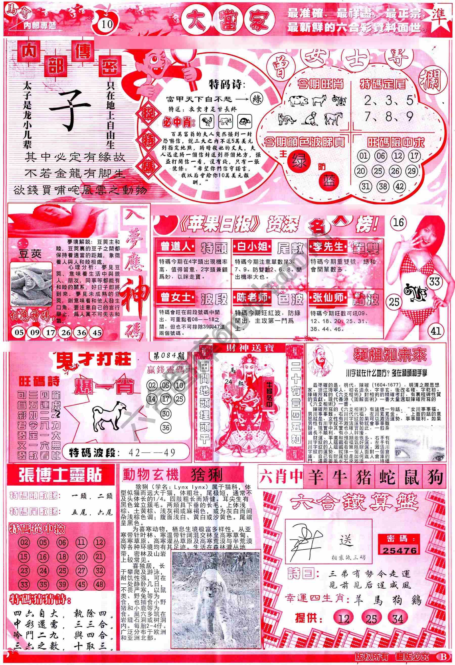 大当家
