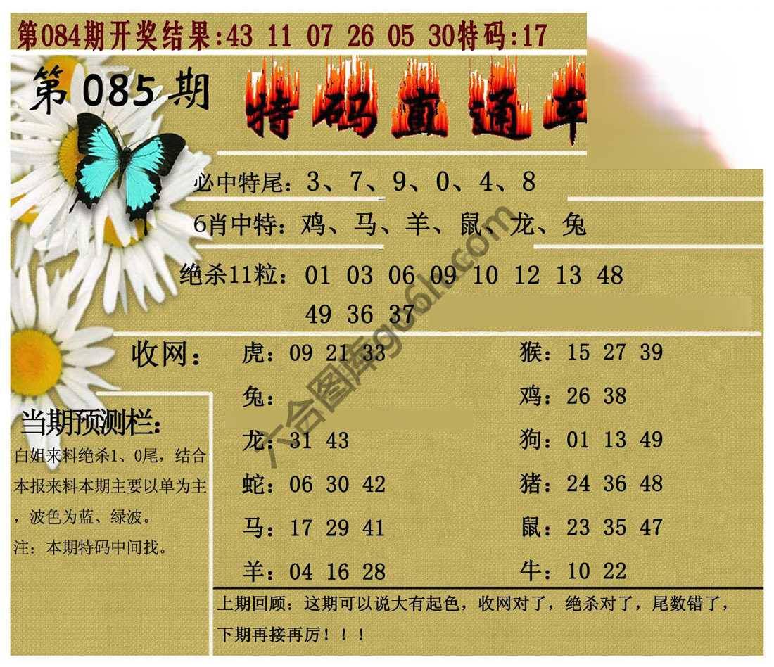特码直通车