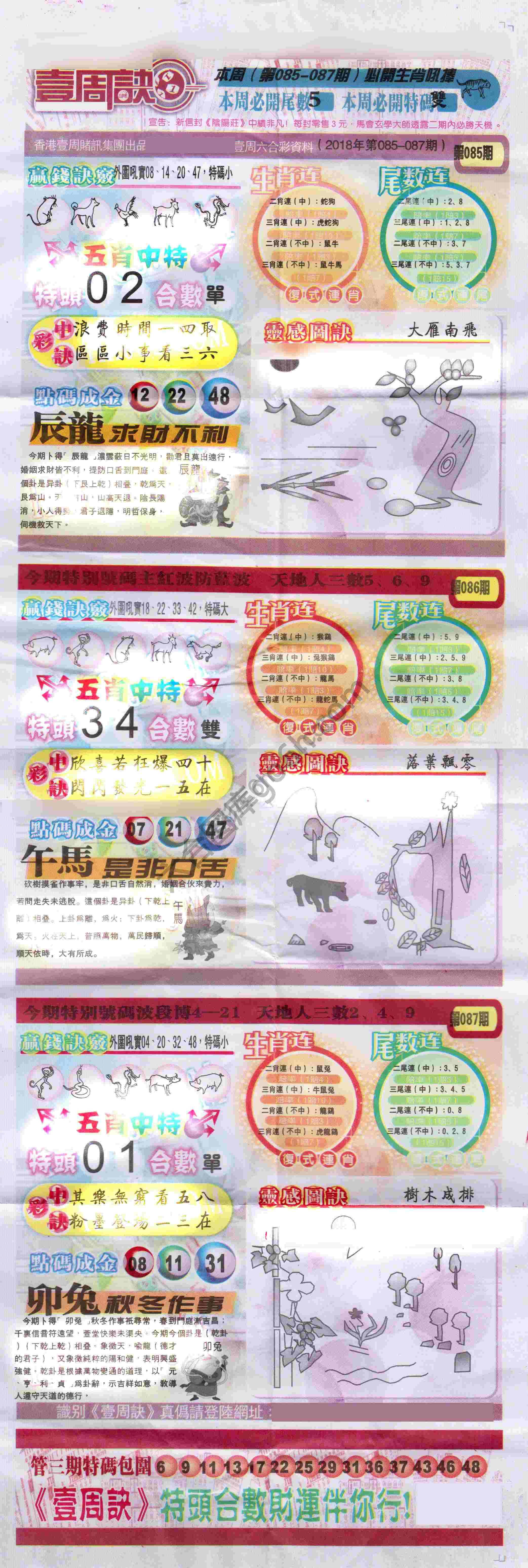 一周决