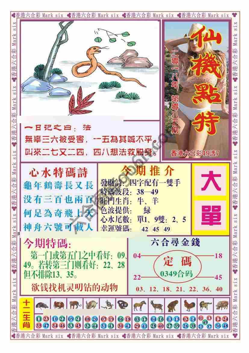 仙机点特