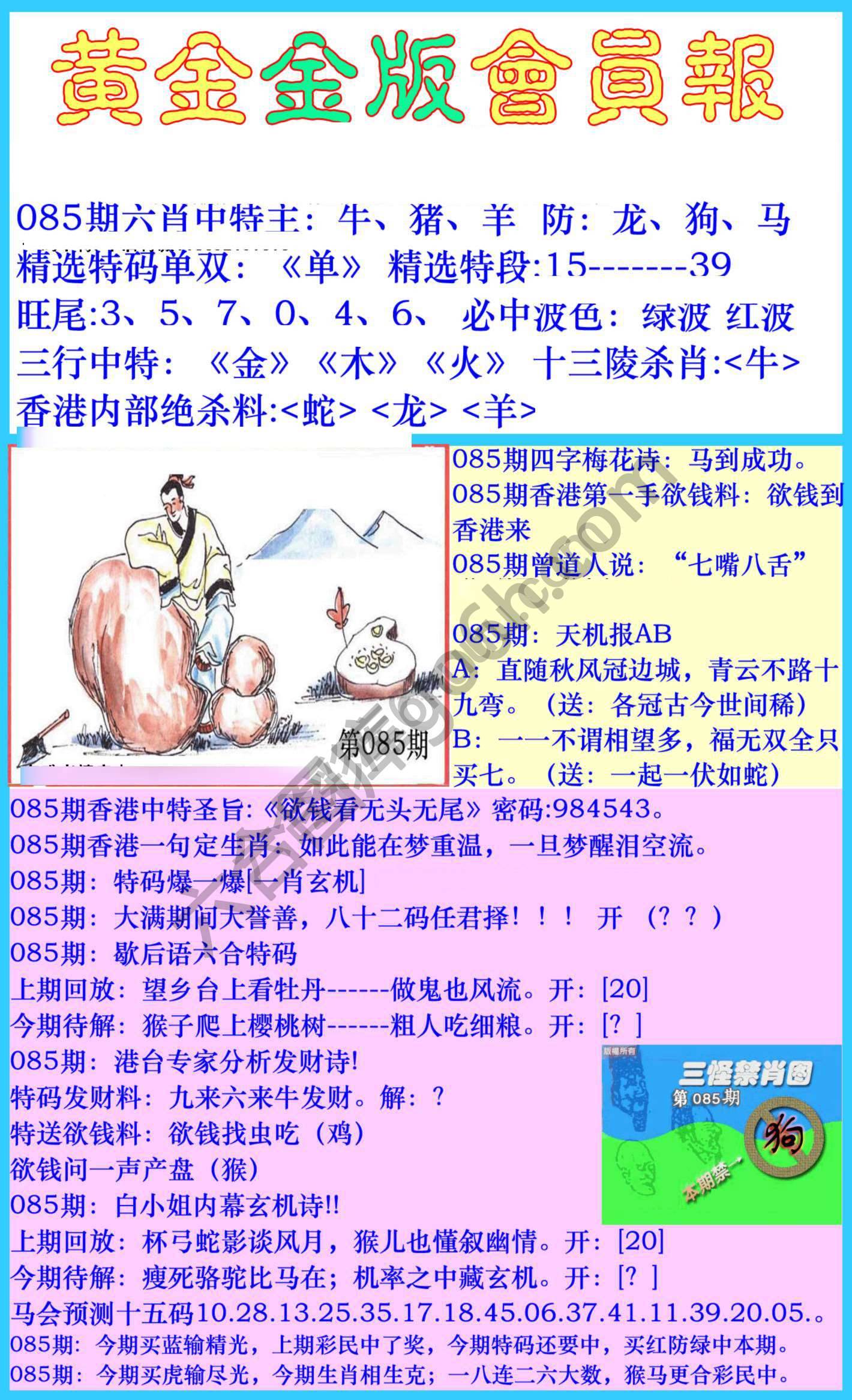 黄金金版会员报