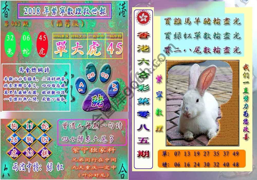 数理救世报