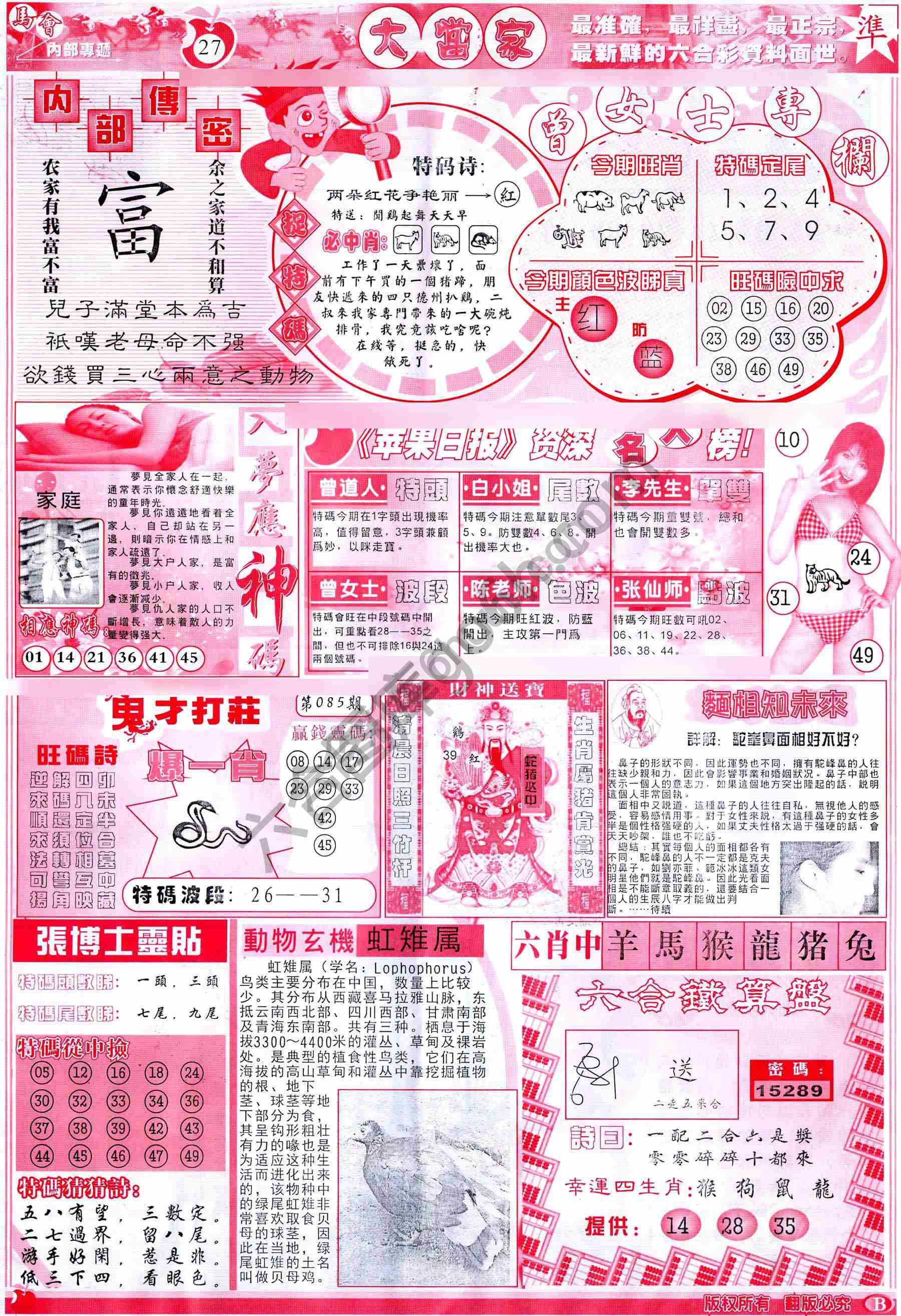 大当家