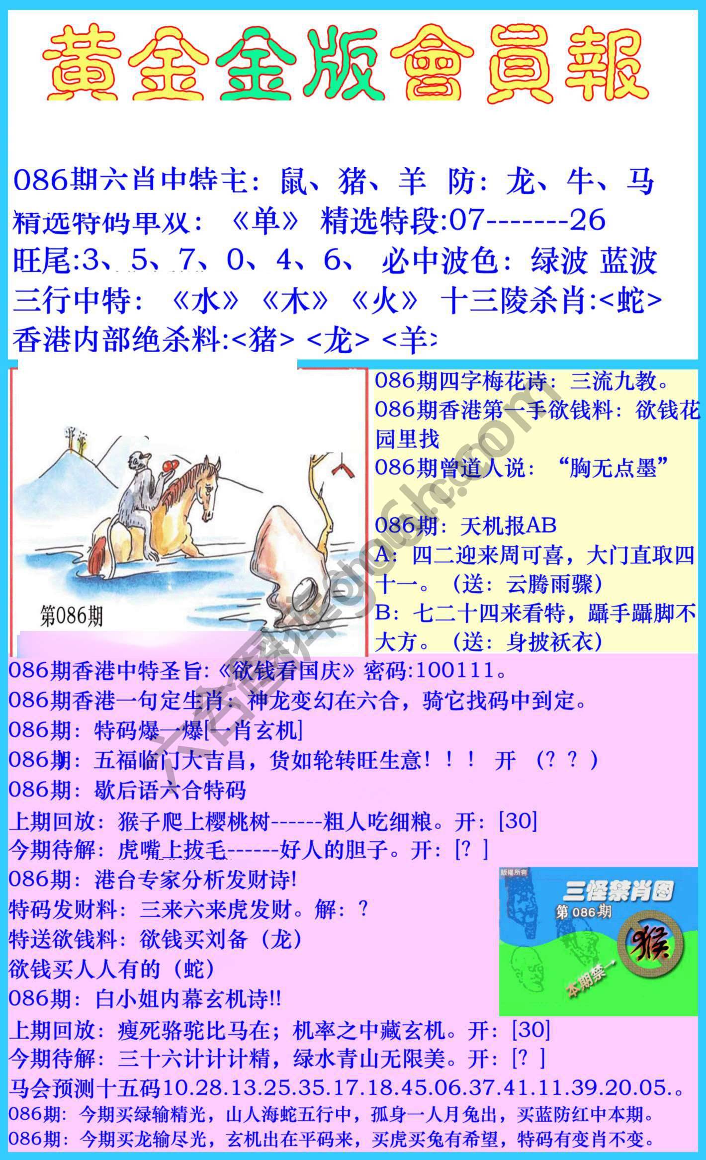 黄金金版会员报