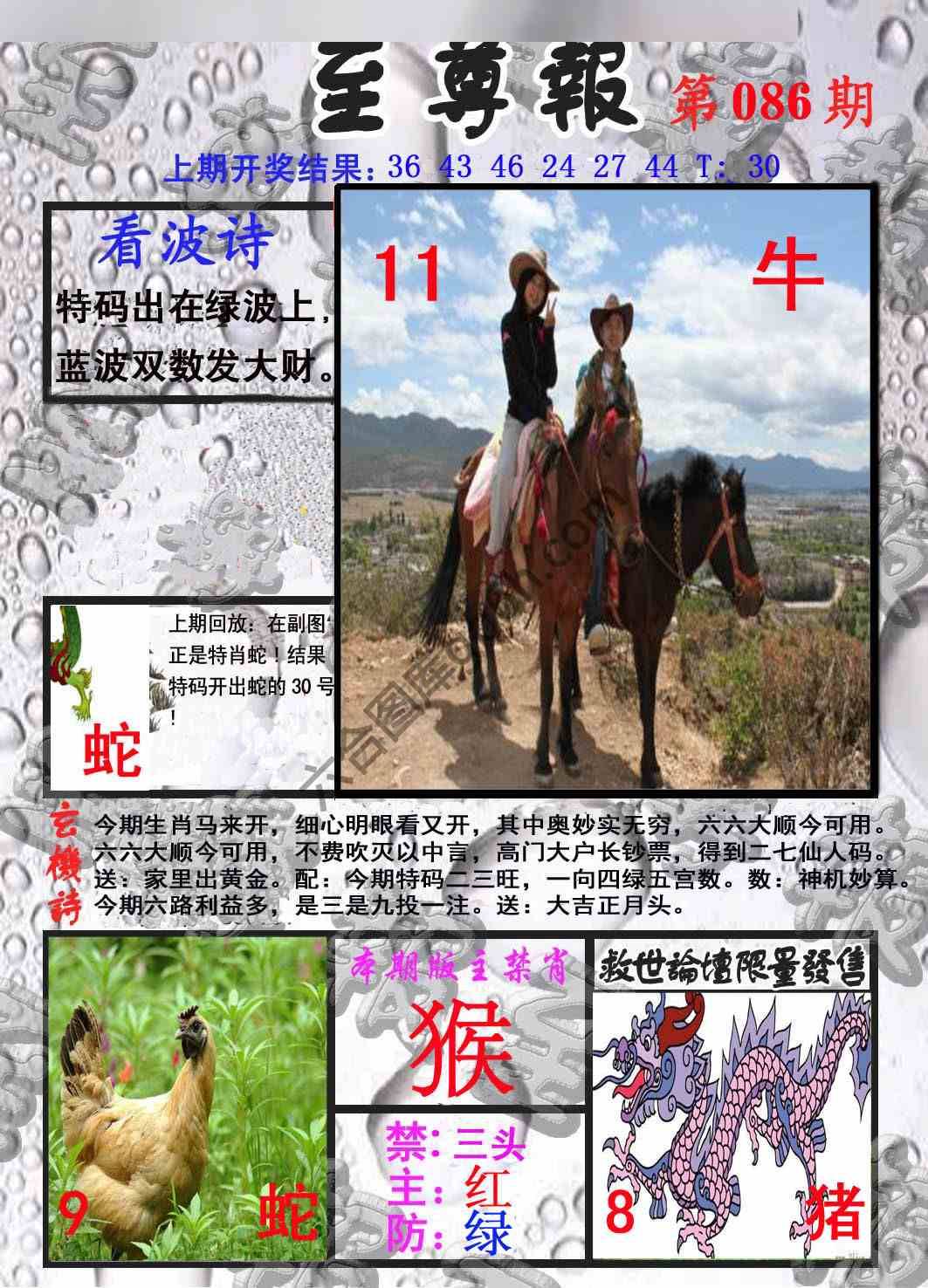 至尊报