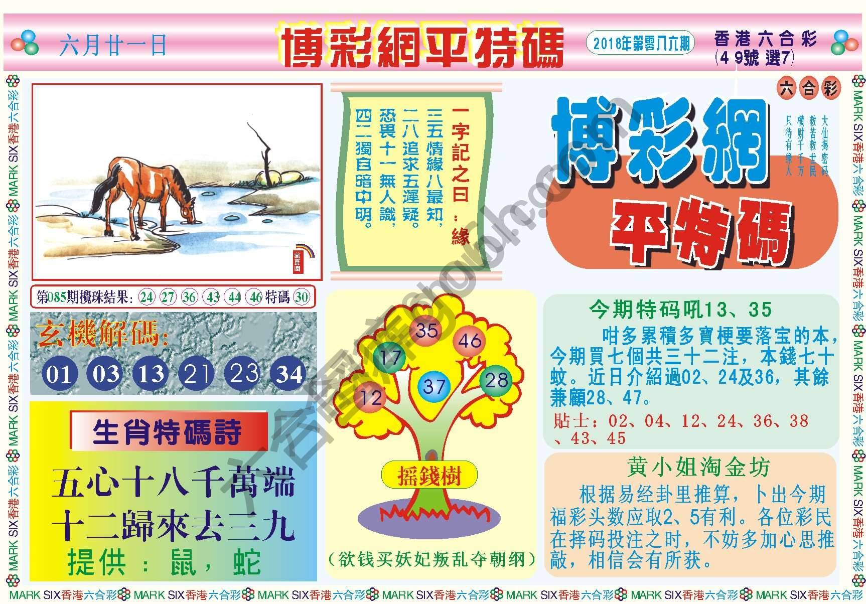 博彩网平特码