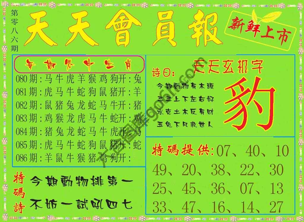 天天会员报