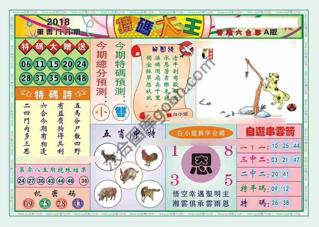 特码大王