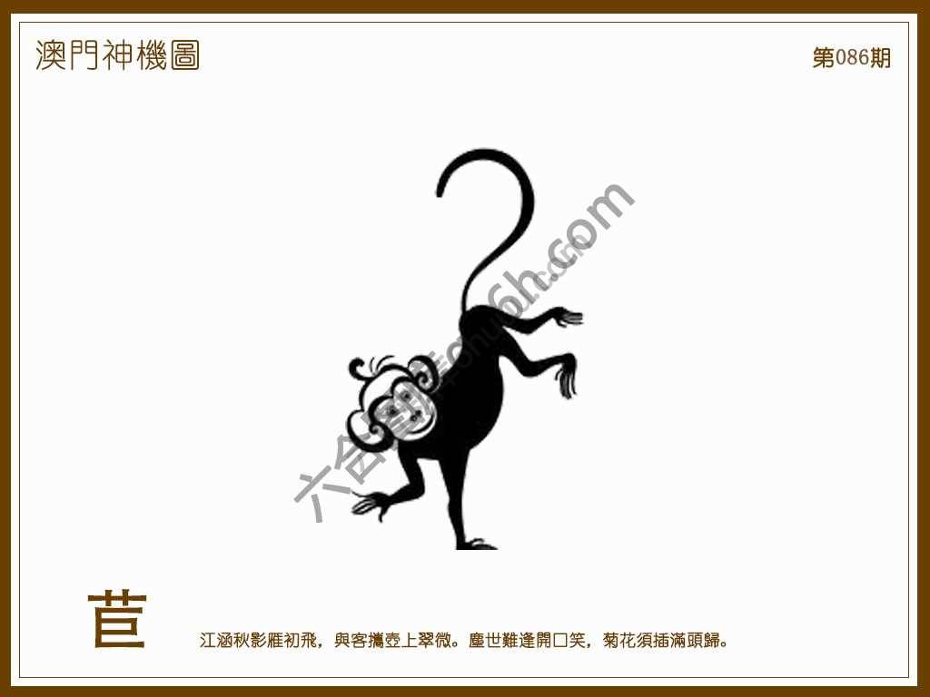 澳门神机图