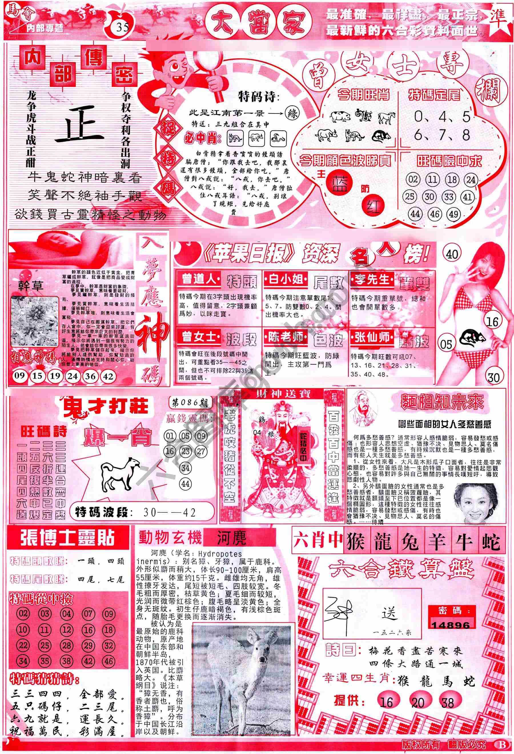 大当家