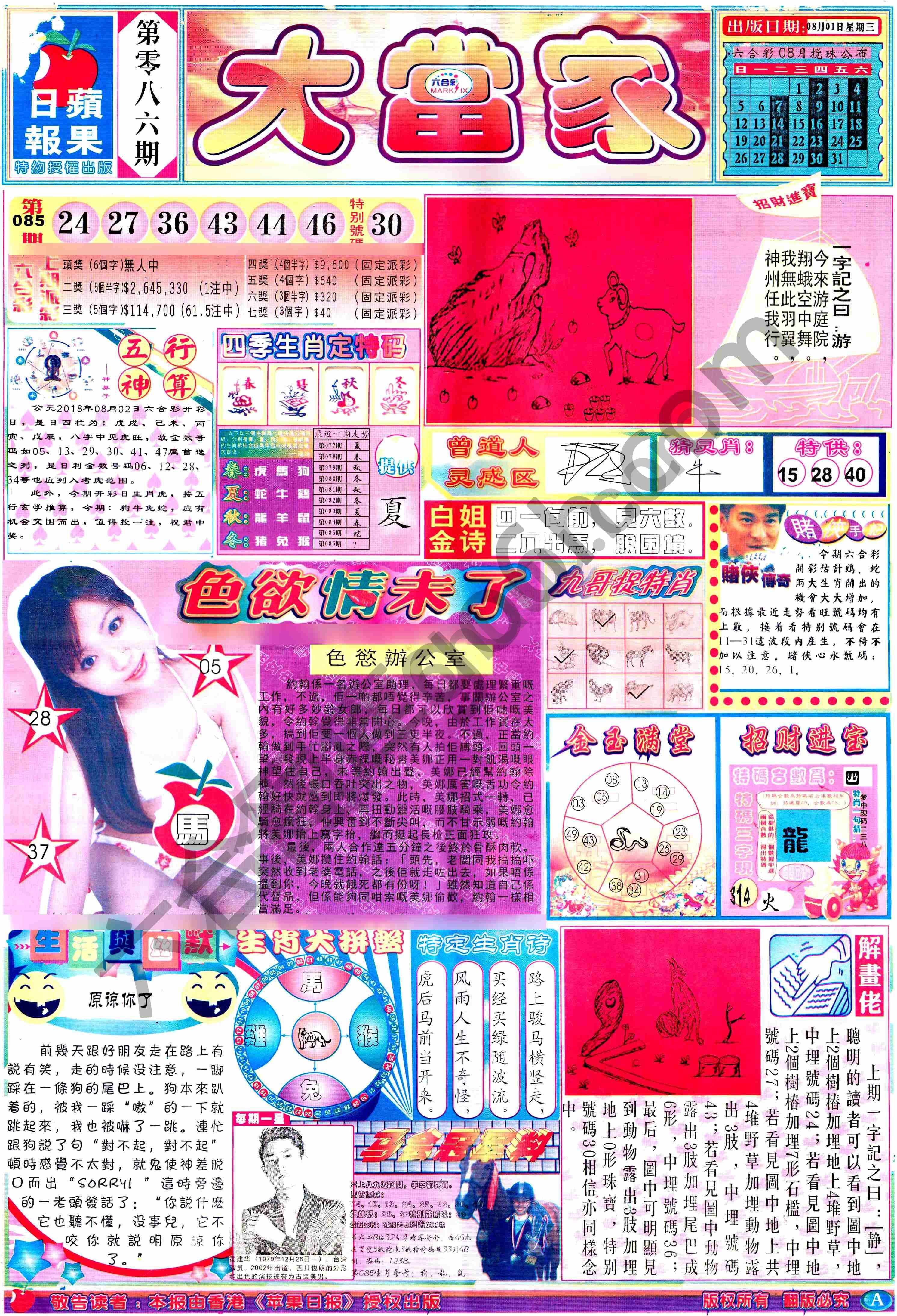大当家