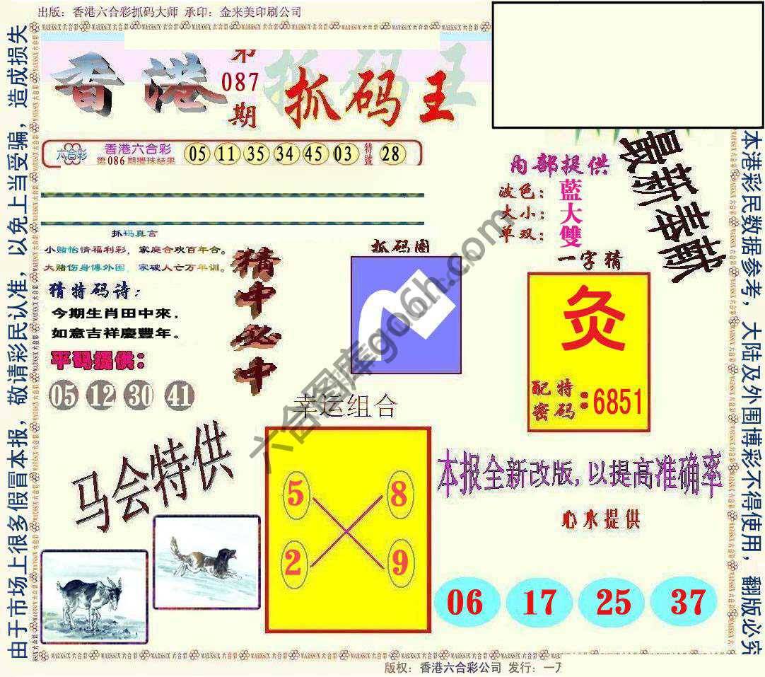 新抓码王