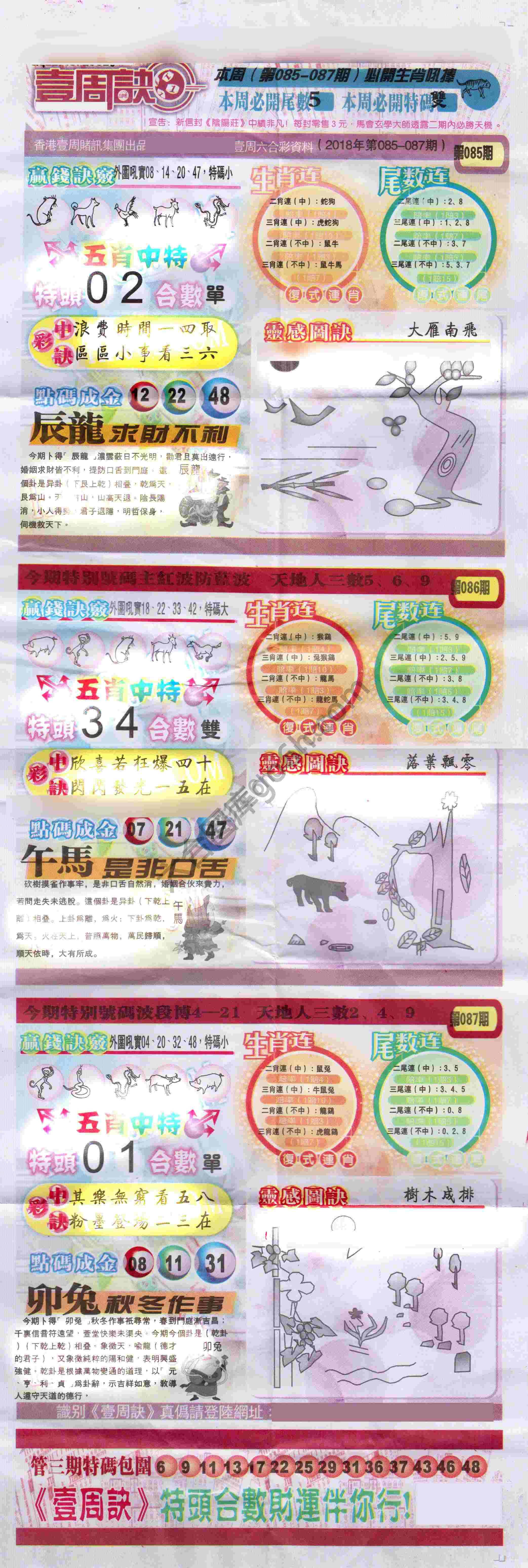 一周决