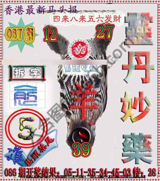 香港马头报