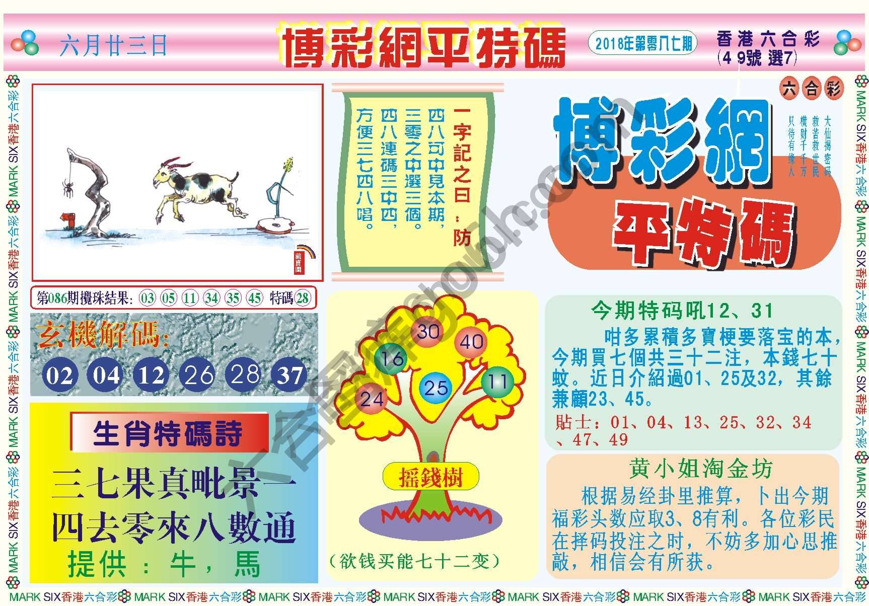 博彩网平特码