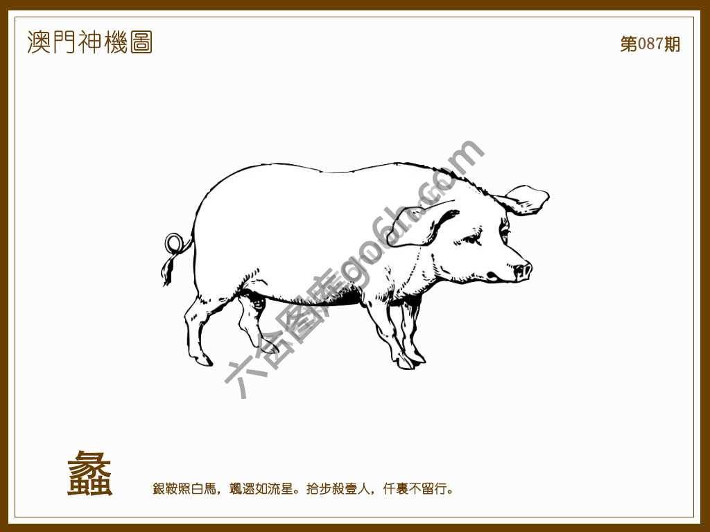 澳门神机图