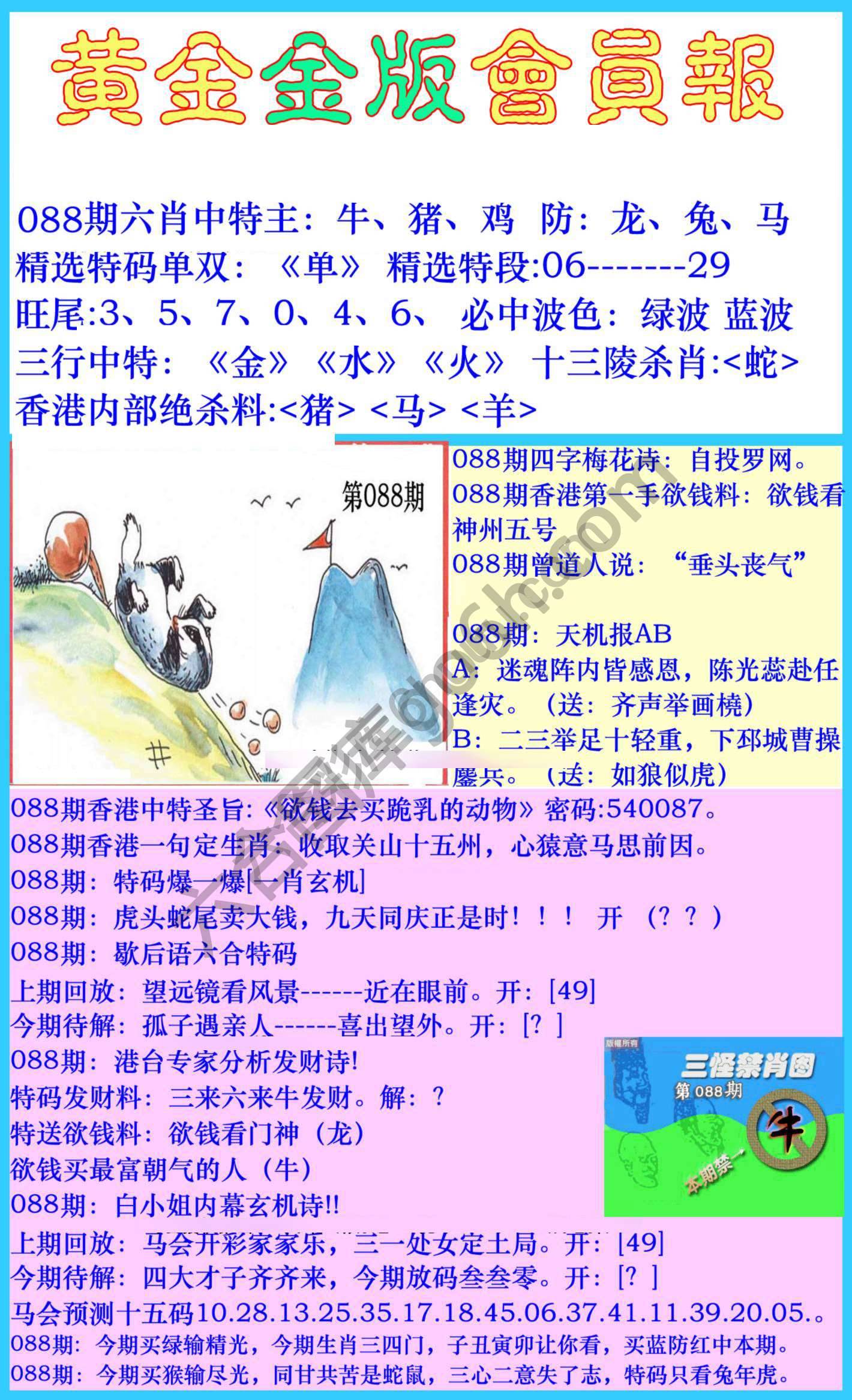 黄金金版会员报
