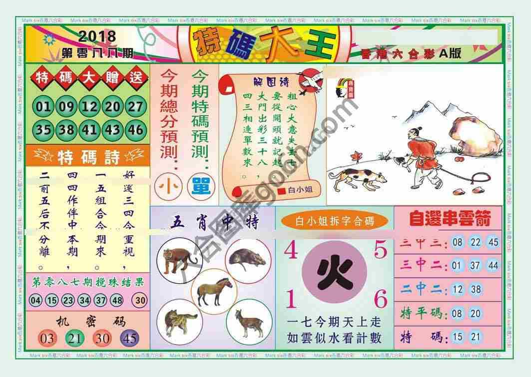 特码大王