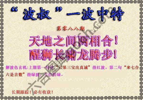 波叔一波中特
