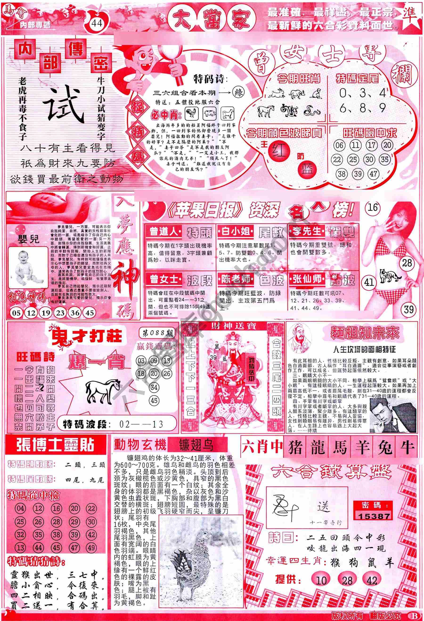 大当家