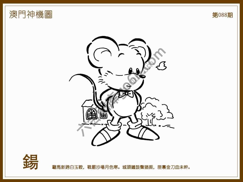 澳门神机图