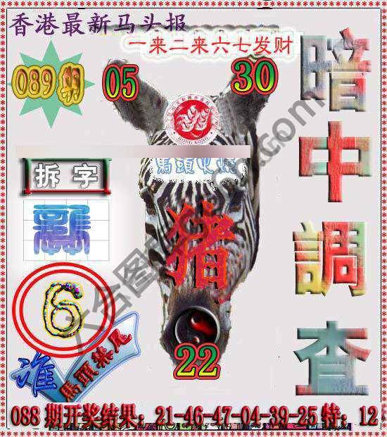 香港马头报
