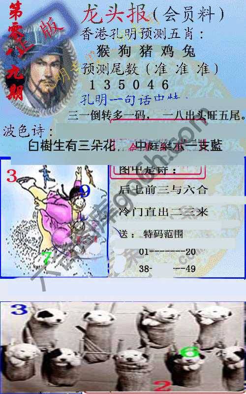 龙头报