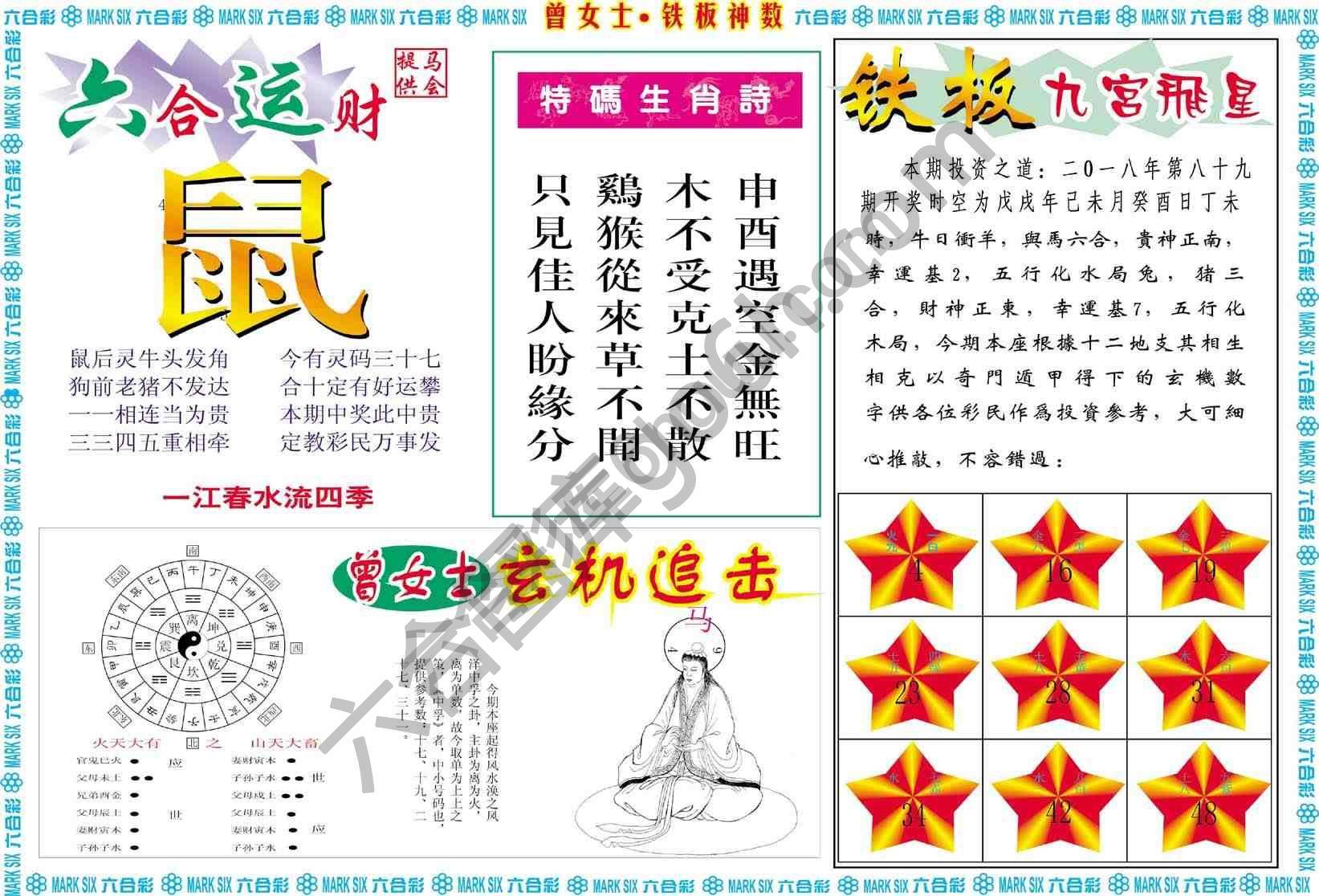 曾女士铁板神数