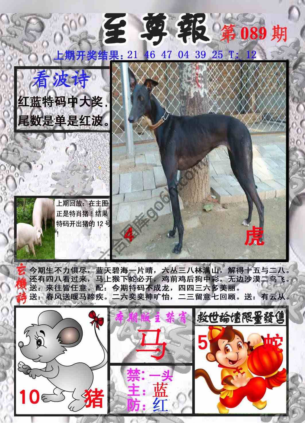 至尊报