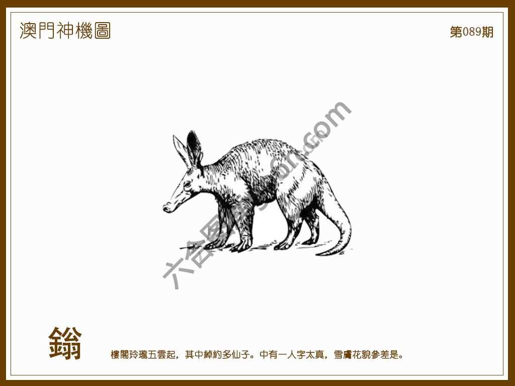 澳门神机图