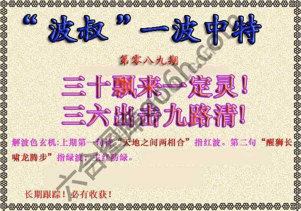 波叔一波中特