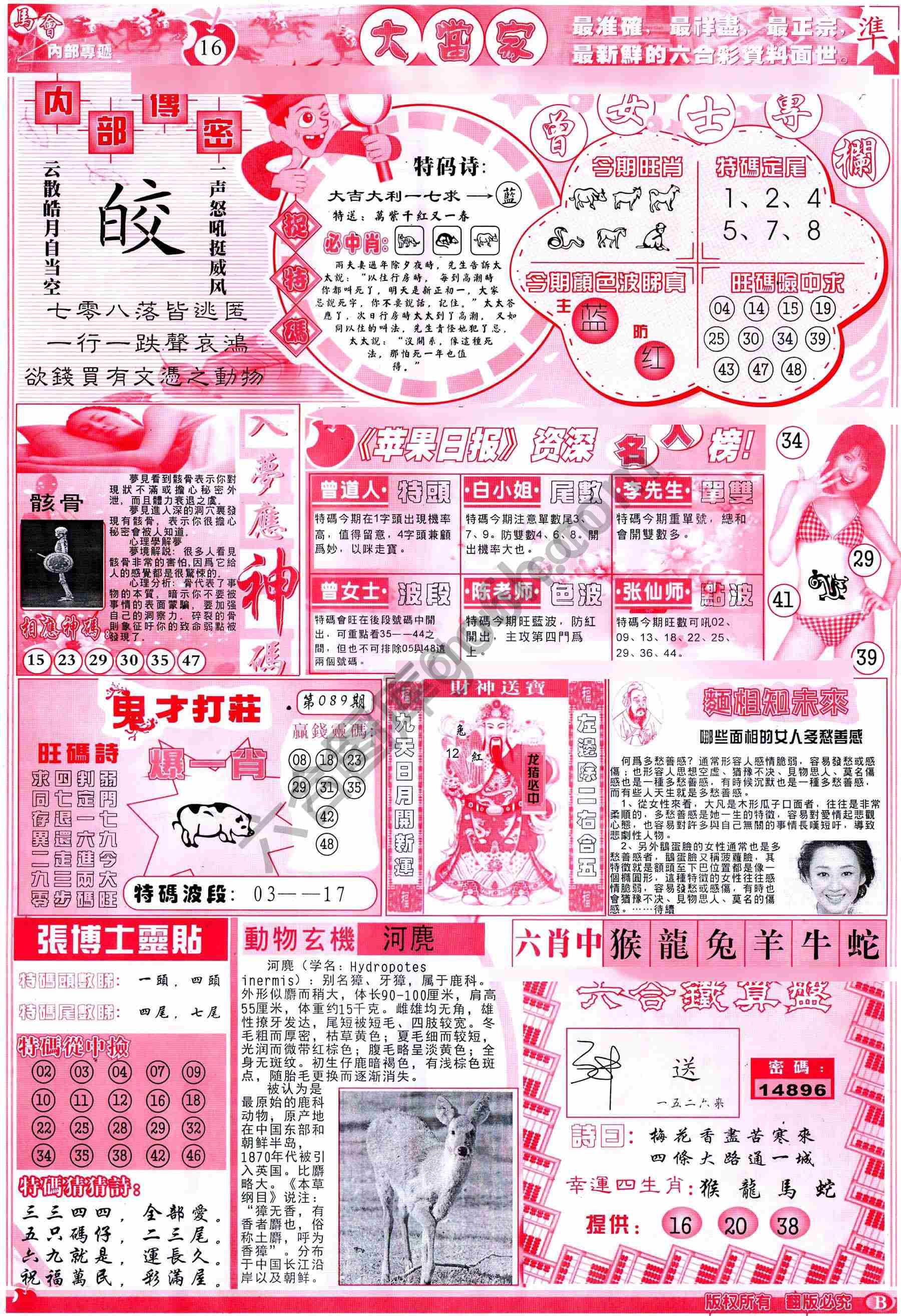大当家