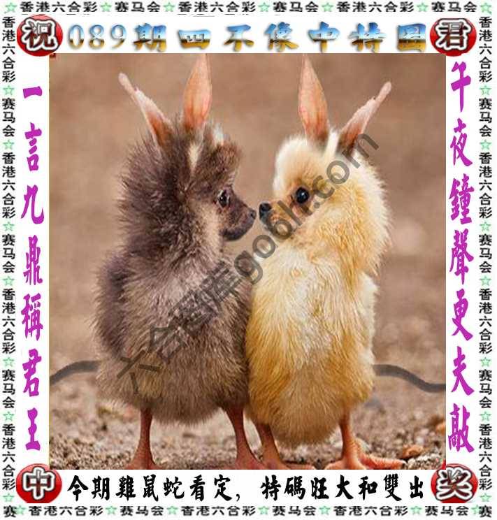 四不像中特图