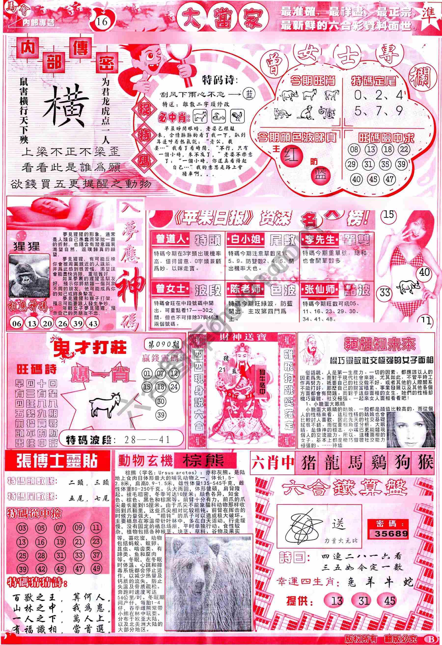 大当家